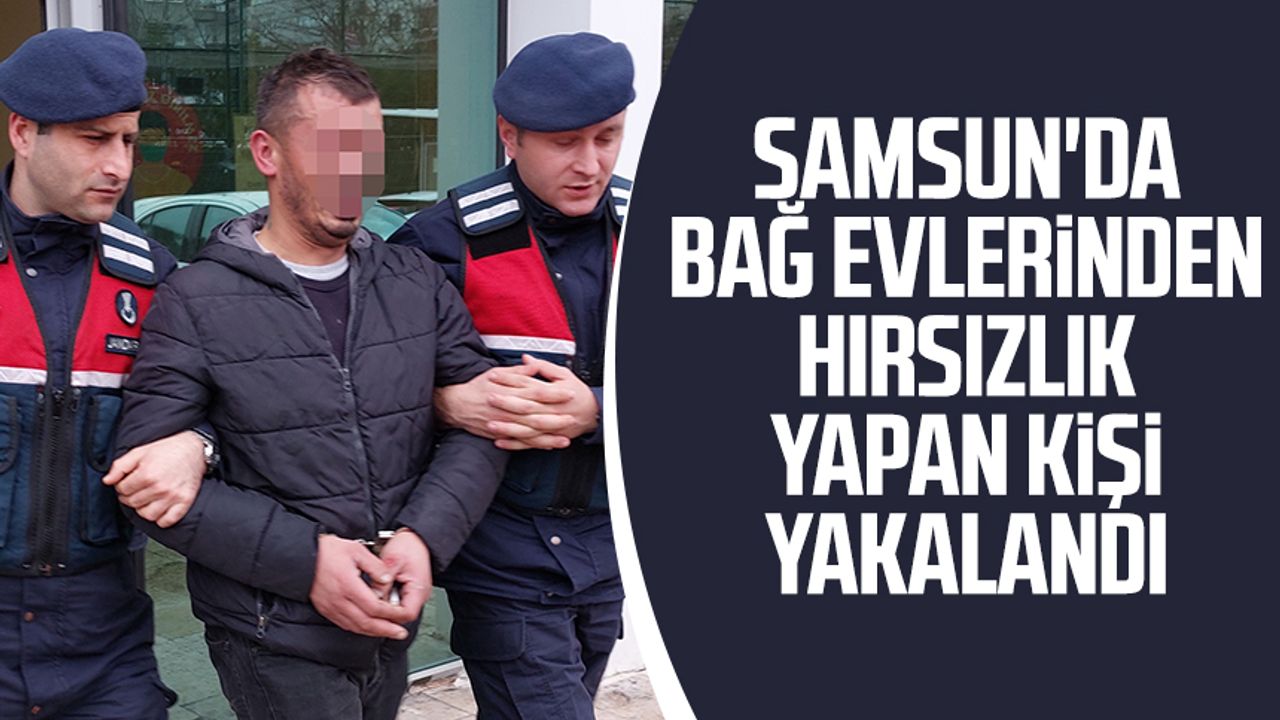 Samsun'da bağ evlerinden hırsızlık yapan kişi yakalandı