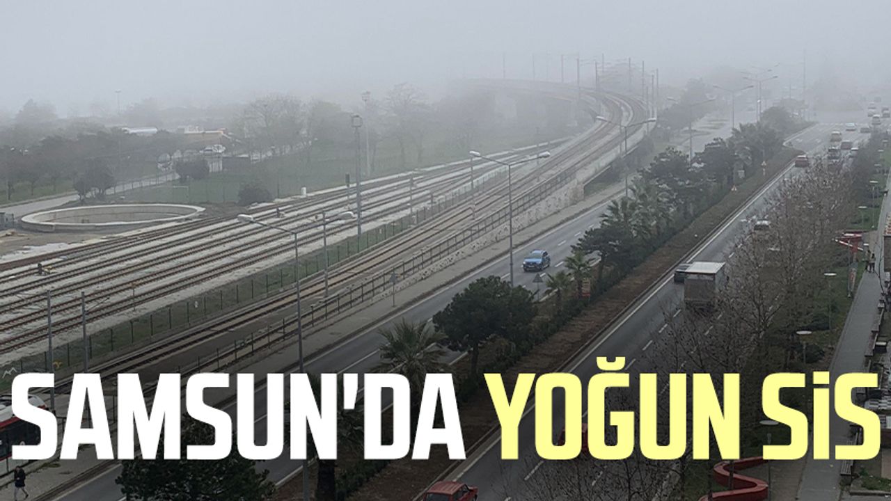 Samsun'da sis etkili oldu