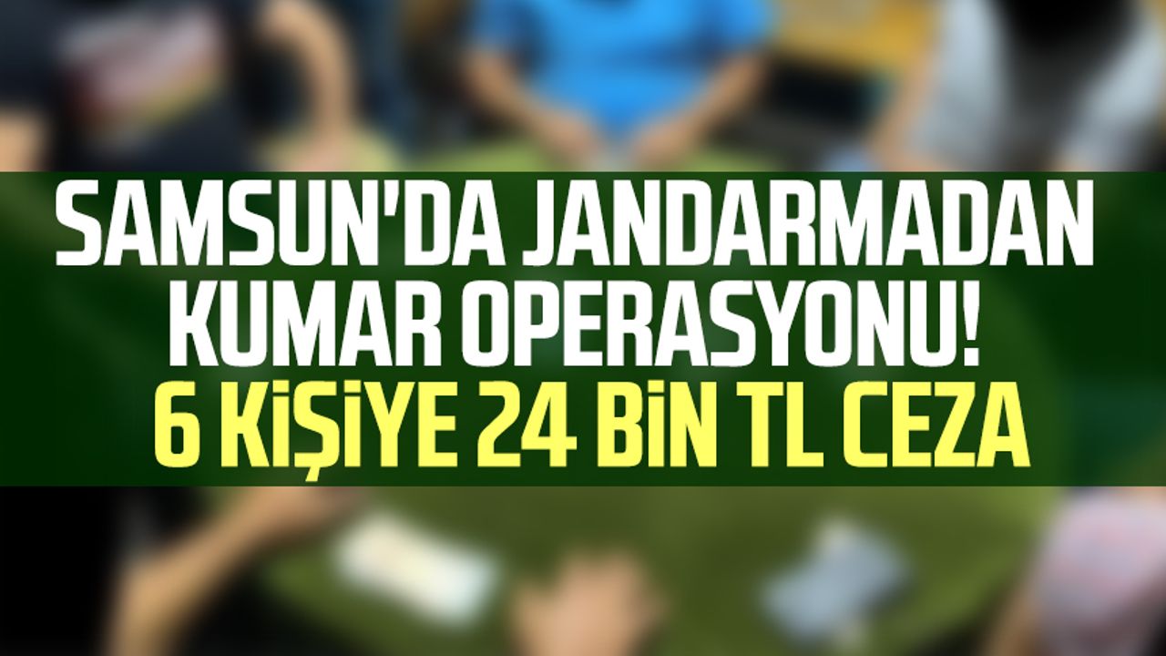Samsun'da jandarmadan kumar operasyonu! 6 kişiye 24 bin TL ceza