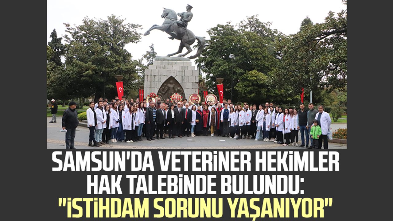Samsun'da veteriner hekimler hak talebinde bulundu: "İstihdam sorunu yaşanıyor"