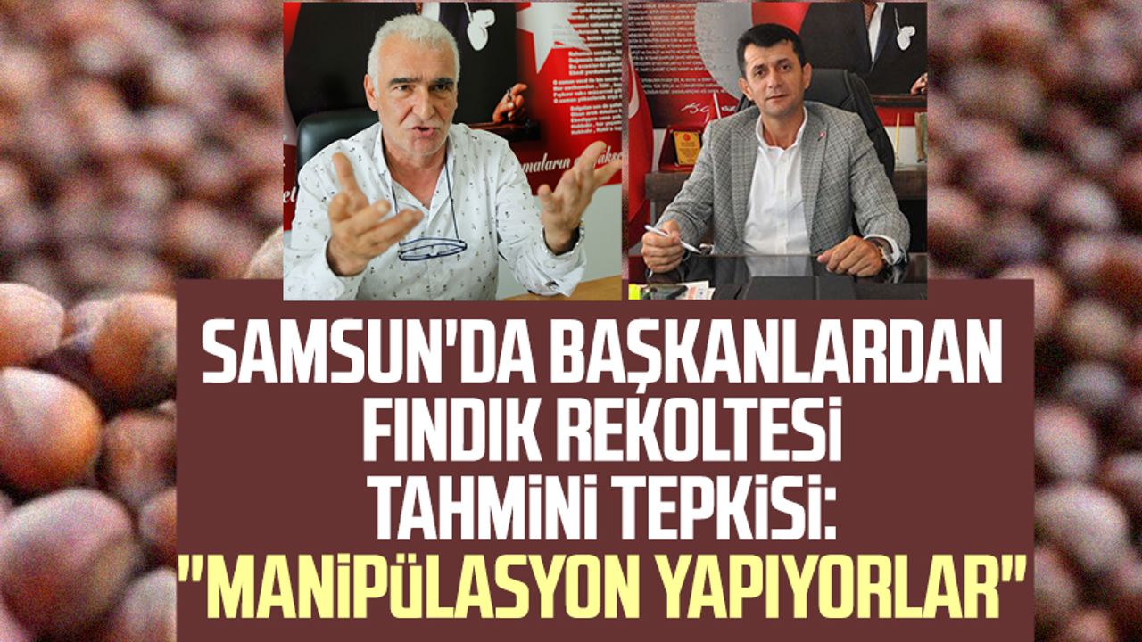 Samsun'da başkanlardan fındık rekoltesi tahmini tepkisi: "Manipülasyon yapıyorlar"