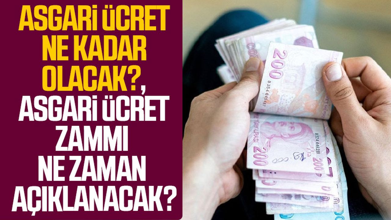 Asgari ücret ne kadar olacak?, Asgari ücret zammı ne zaman açıklanacak?