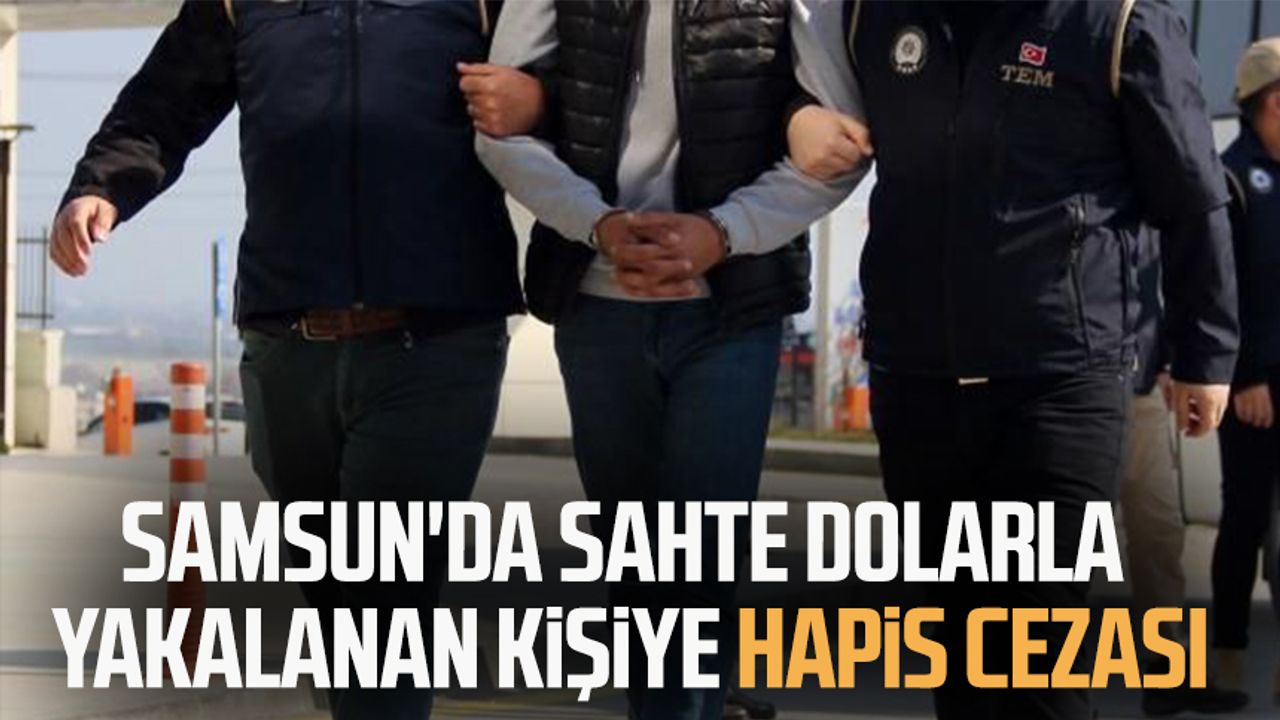 Samsun'da sahte dolarla yakalanan kişiye hapis cezası