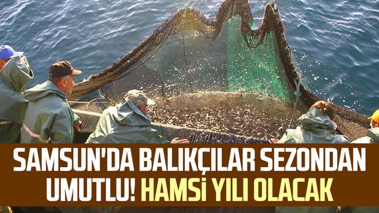 Samsun'da balıkçılar sezondan umutlu! Hamsi yılı olacak