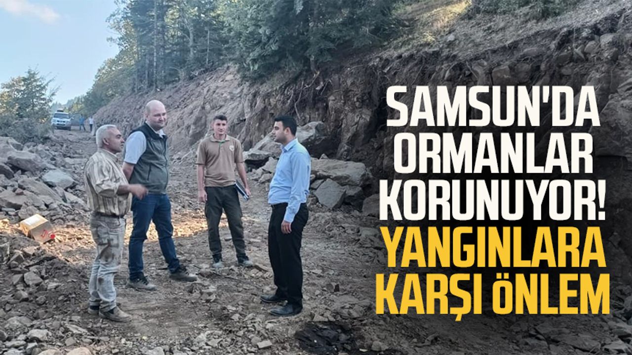 Samsun'da ormanlar korunuyor! Yangınlara karşı önlem