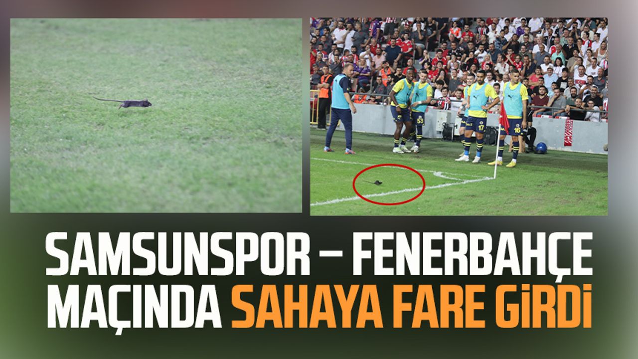 Samsunspor – Fenerbahçe maçında sahaya fare girdi
