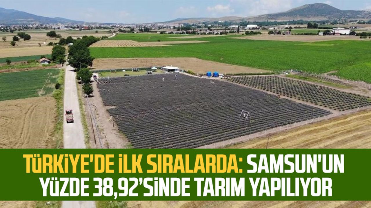 Türkiye'de ilk sıralarda: Samsun'un yüzde 38,92’sinde tarım yapılıyor