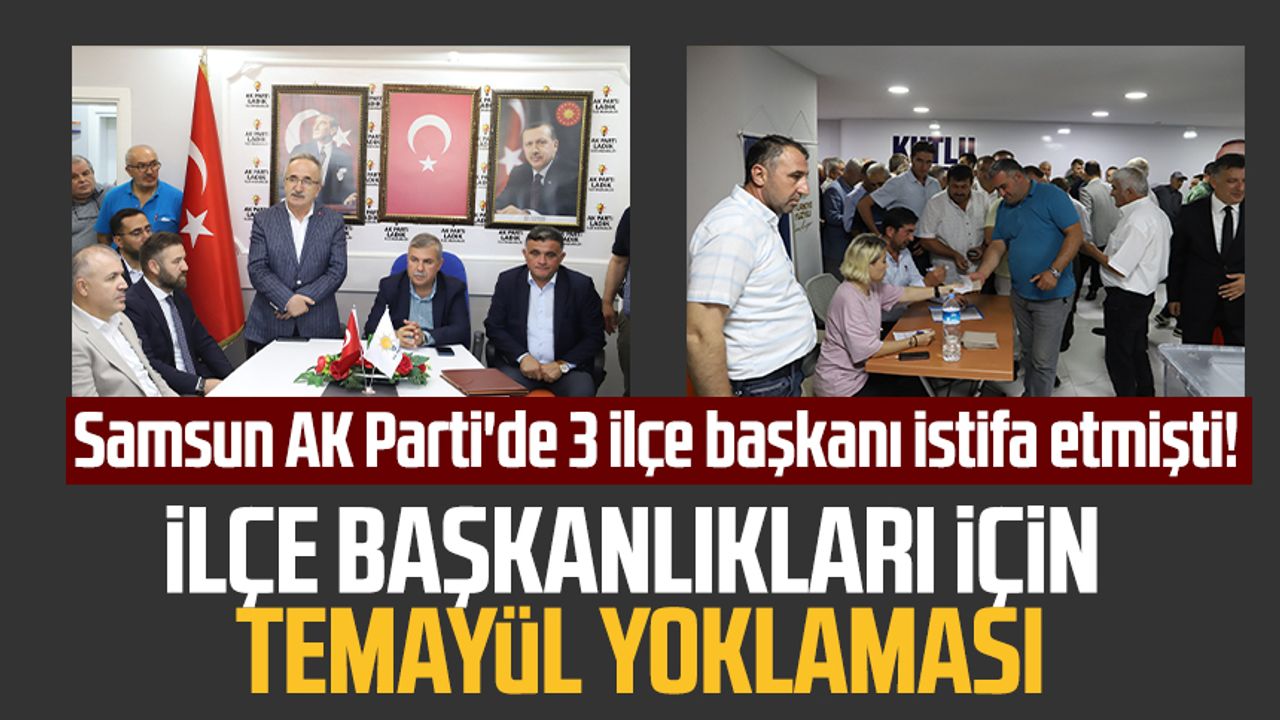 Samsun AK Parti'de 3 ilçe başkanı istifa etmişti! İlçe başkanlıkları için temayül yoklaması