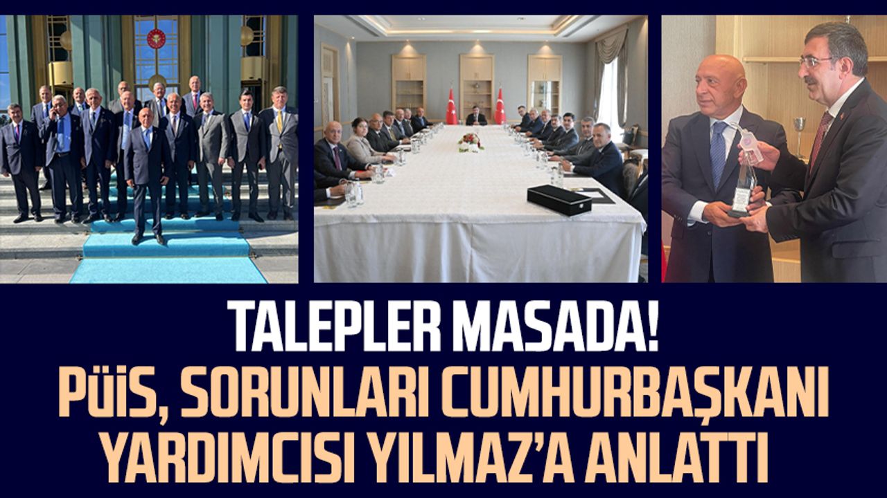 Talepler masada! PÜİS, sorunları Cumhurbaşkanı Yardımcısı Cevdet Yılmaz’a anlattı