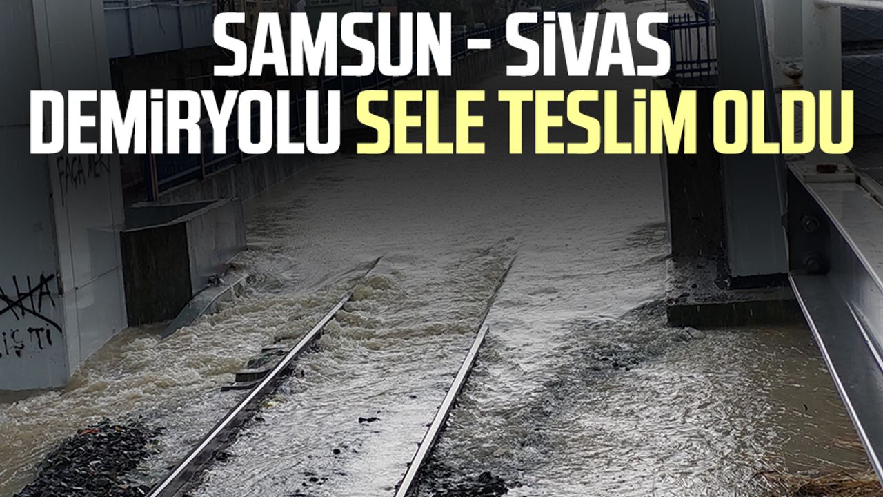 Samsun - Sivas demiryolu sele teslim oldu!