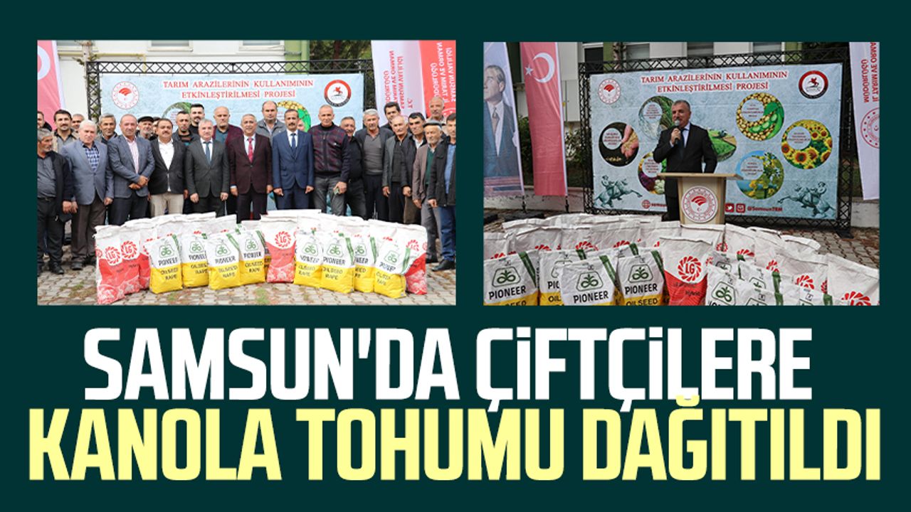 Samsun'da çiftçilere kanola tohumu dağıtıldı