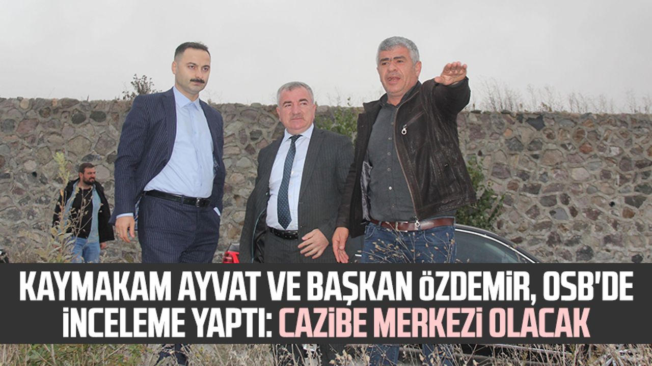 Kaymakam Mustafa Ayvat ve Havza Belediye Başkanı Özdemir, OSB'de inceleme yaptı: Cazibe merkezi olacak
