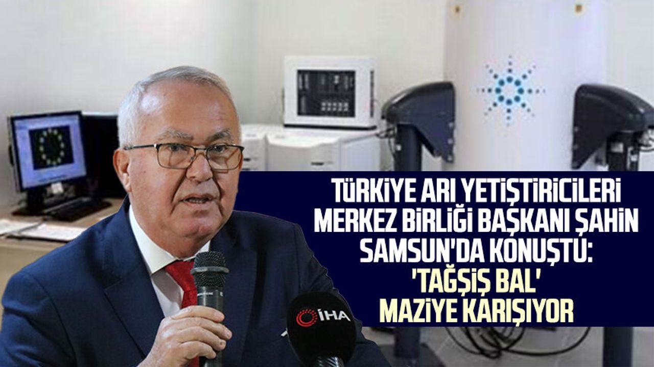 Türkiye Arı Yetiştiricileri Merkez Birliği Başkanı Ziya Şahin Samsun'da konuştu: 'Tağşiş bal' maziye karışıyor