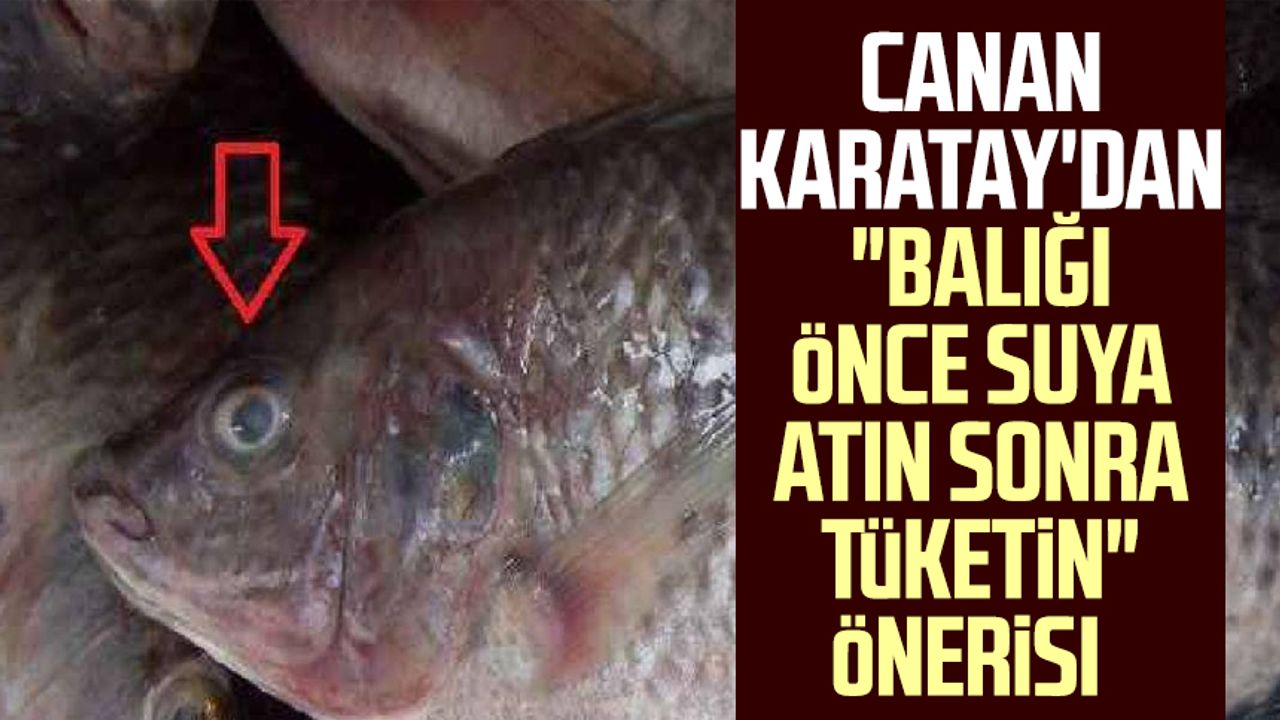 Canan Karatay'dan "Balığı önce suya atın sonra tüketin" önerisi