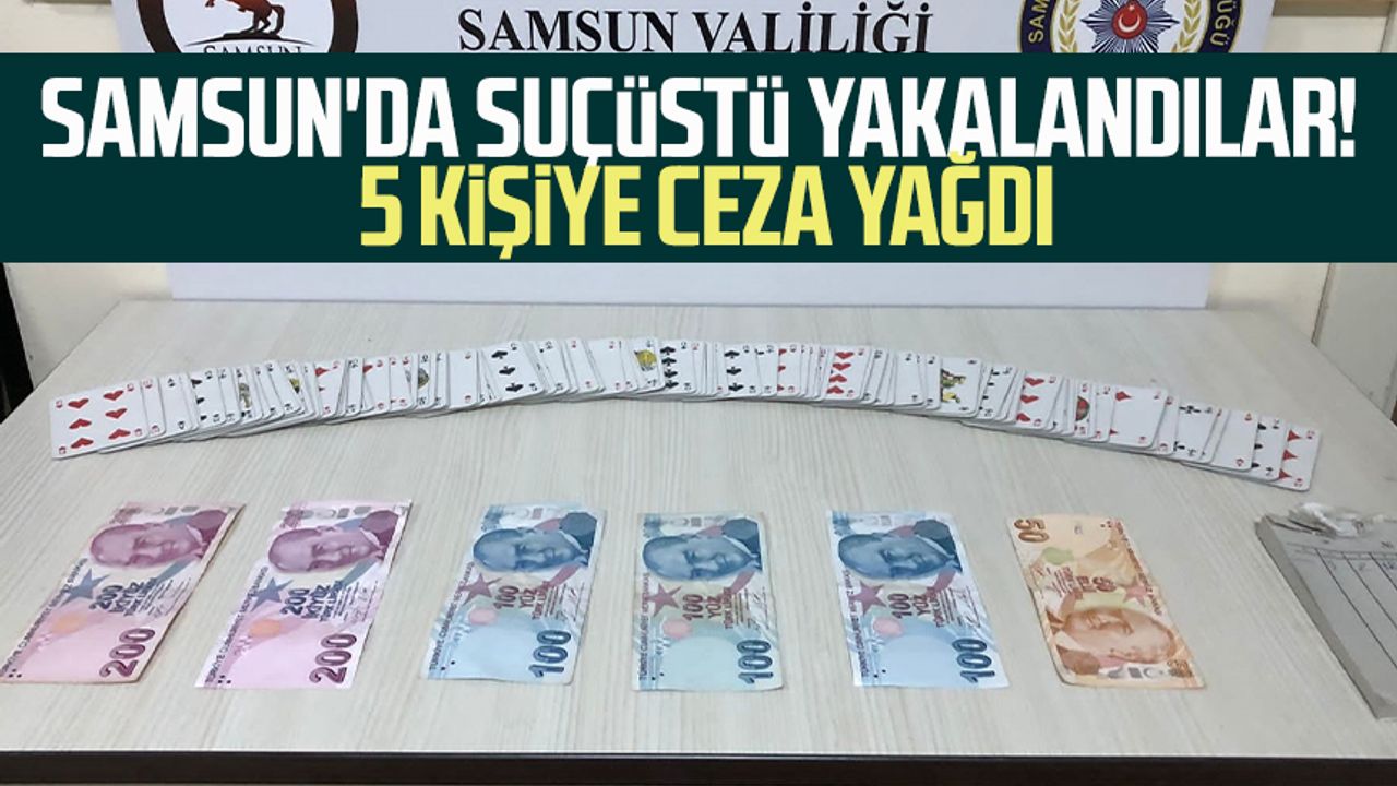 Samsun'da suçüstü yakalandılar! 5 kişiye ceza yağdı