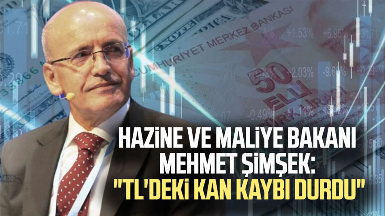 Hazine ve Maliye Bakanı Mehmet Şimşek: "TL'deki kan kaybı durdu"