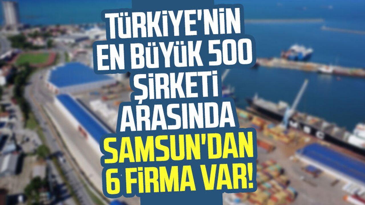 Türkiye'nin en büyük 500 şirketi arasında Samsun'dan 6 firma var! - Sa