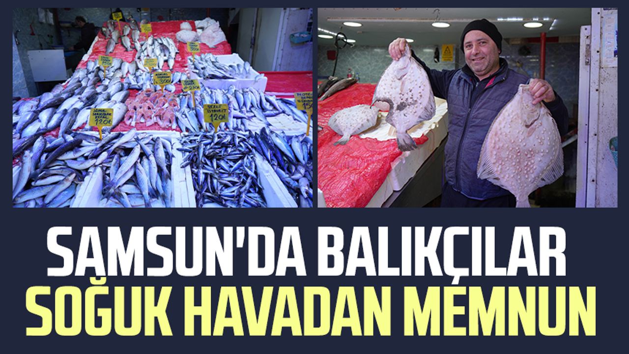 Samsun'da balıkçılar soğuk havadan memnun