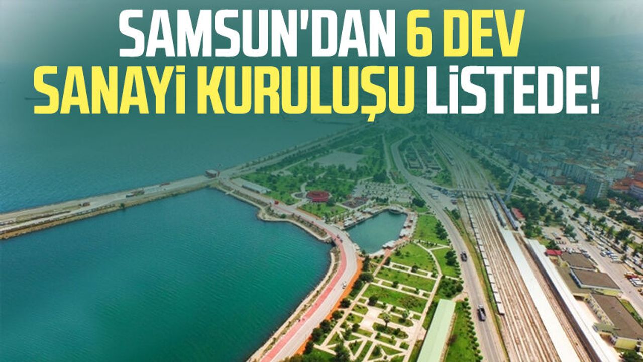 Samsun'dan 6 dev sanayi kuruluşu listede!