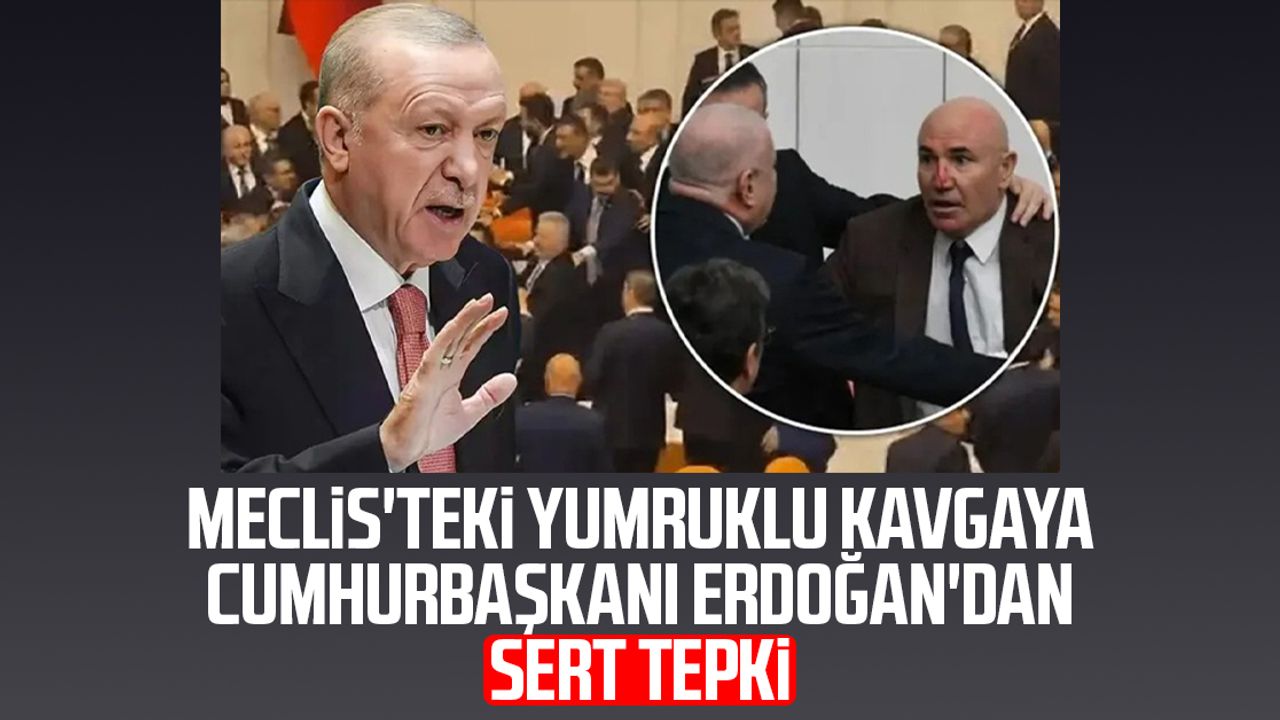 Meclis'teki yumruklu kavgaya Cumhurbaşkanı Erdoğan'dan sert tepki