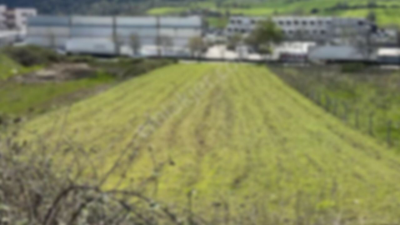 TOKİ’den dev fırsat: Samsun'da dikkat çeken arsa satışı