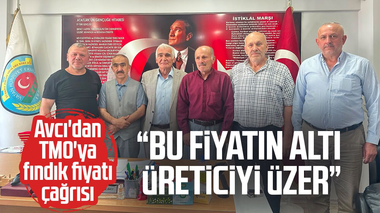 Ayvacık Ziraat Odası Başkanı Avcı'dan TMO'ya fındık fiyatı çağrısı