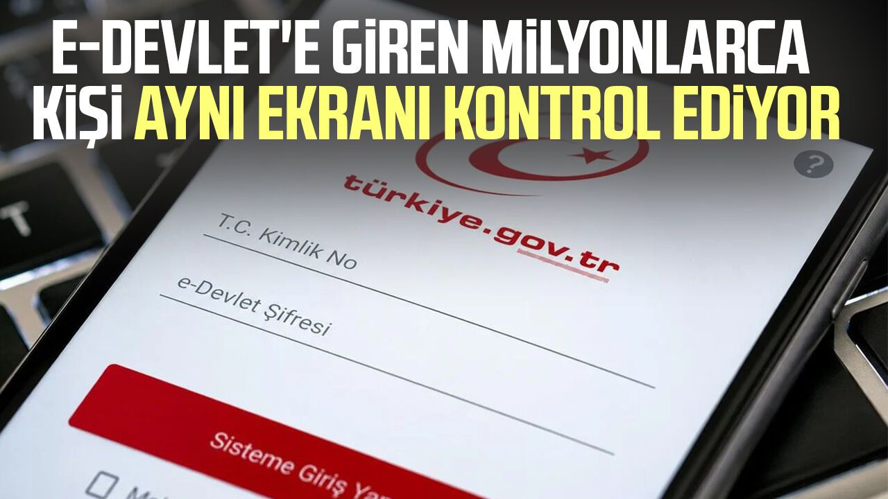 e-Devlet'e giren milyonlarca kişi aynı ekranı kontrol ediyor