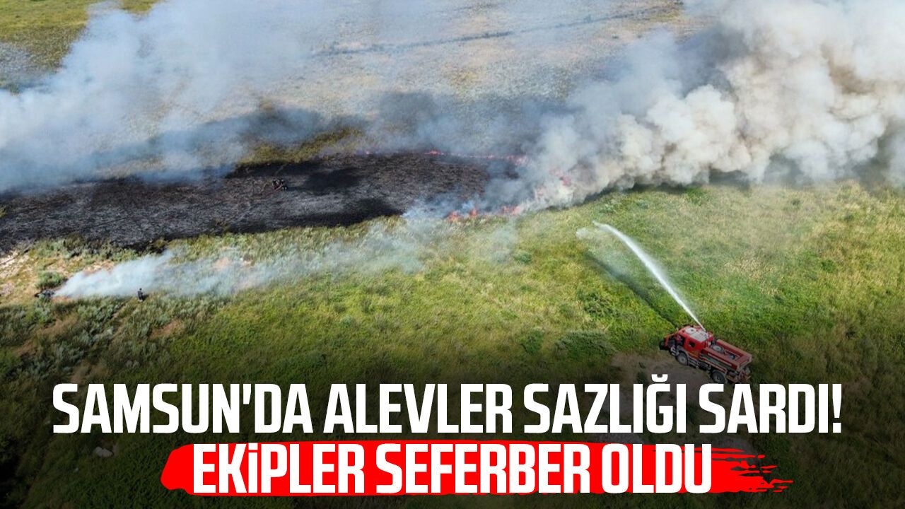 Samsun'da alevler sazlığı sardı! 20 dönüm zarar gördü