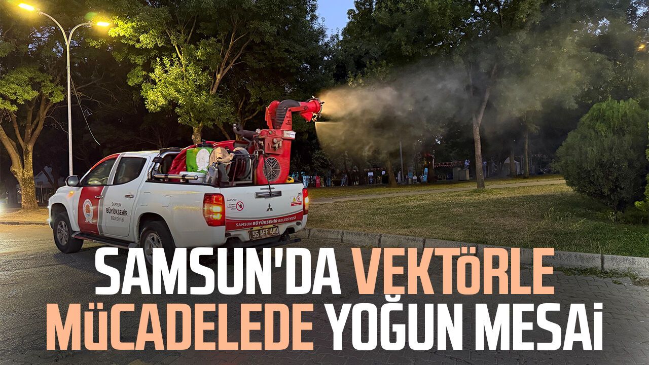 Samsun'da vektörle mücadelede yoğun mesai