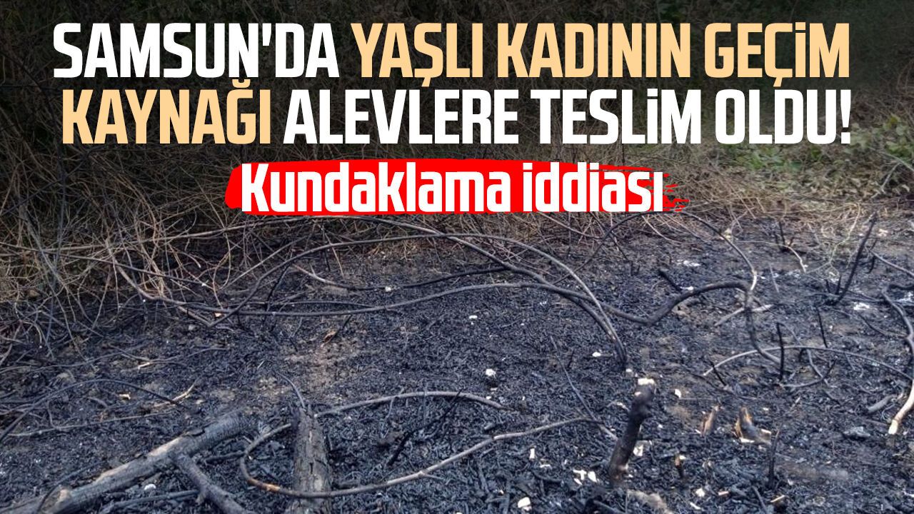 Samsun'da yaşlı kadının geçim kaynağı alevlere teslim oldu!