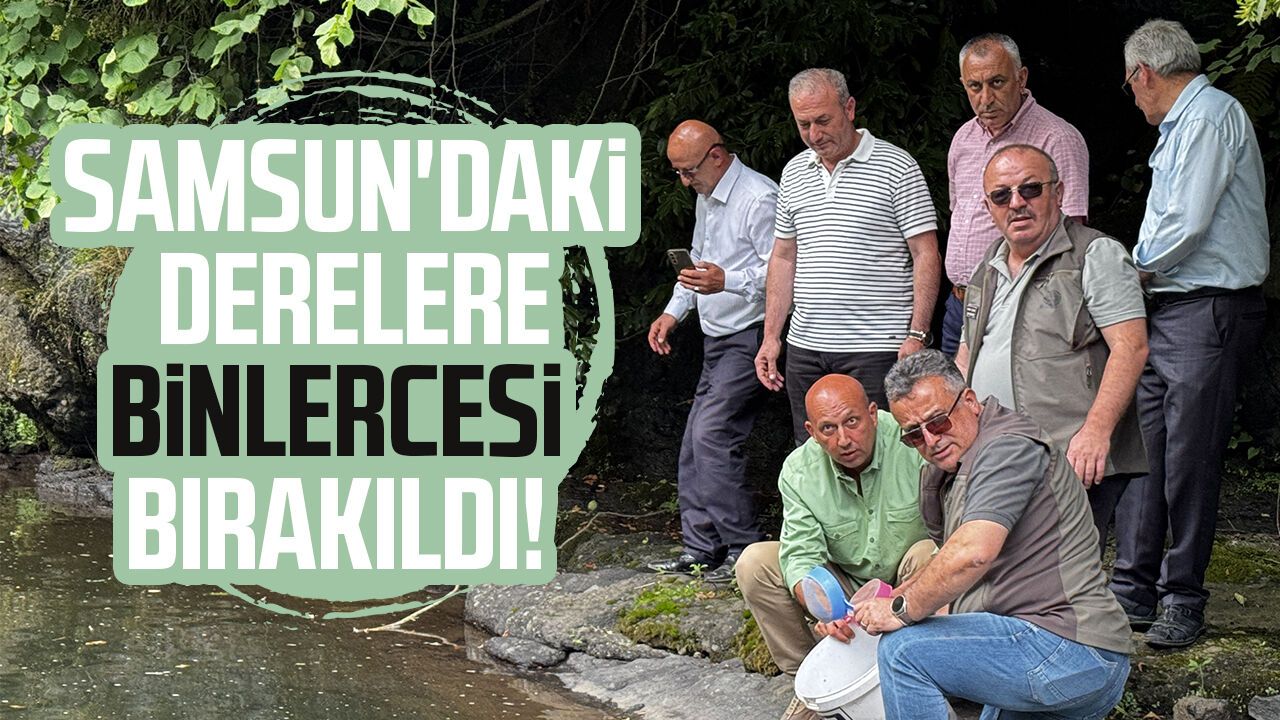 Samsun'daki derelere binlerce alabalık bırakıldı!