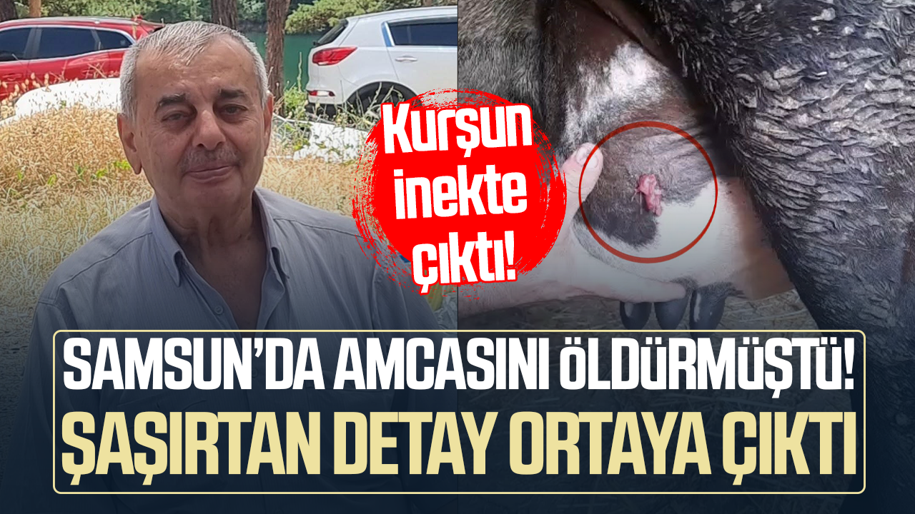 Samsun’da amcasını öldürmüştü! Şaşırtan detay ortaya çıktı