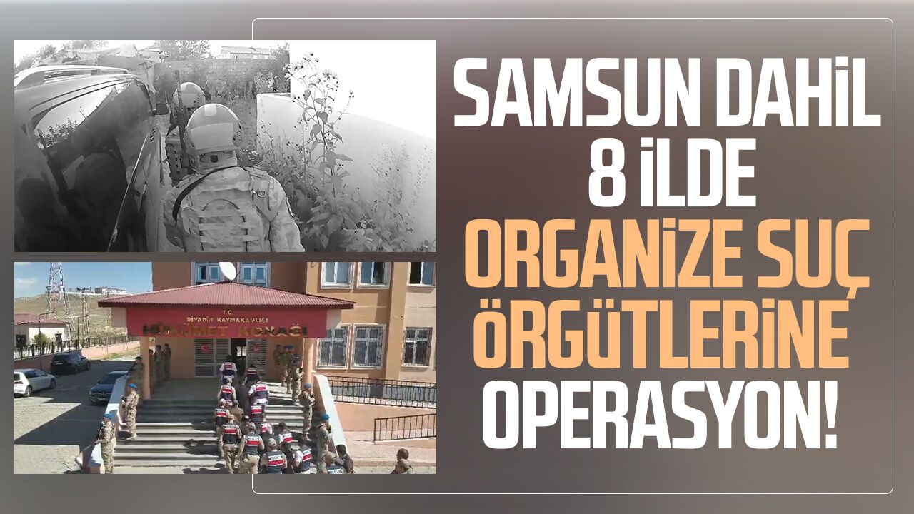 Samsun’da organize suç operasyonu