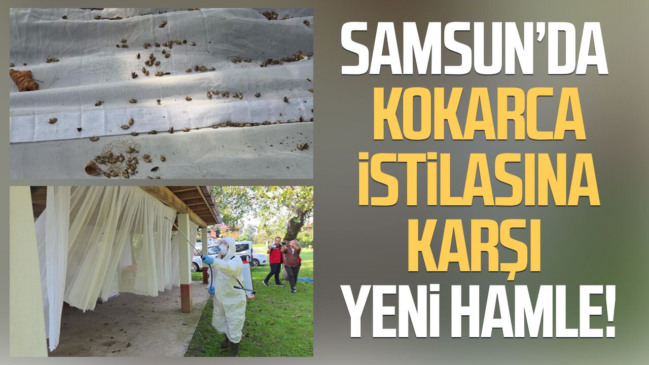 Samsun’da kokarca istilasına karşı yeni hamle!