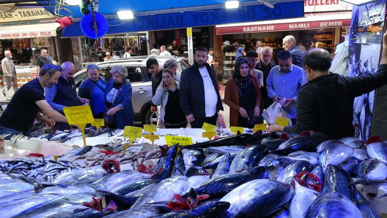 Samsun’da palamut bereketi! Almak için kuyruğa girdiler