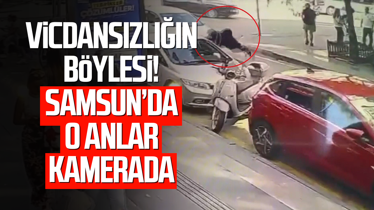 Vicdansızlığın böylesi! Samsun'da o anlar kamerada