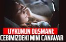 Uykunun düşmanı: Cebimizdeki mini canavar