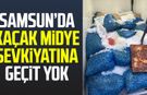 Samsun’da kaçak midye sevkiyatına geçit yok