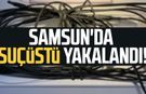 Samsun Bafra'da suçüstü yakalandı!
