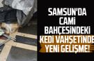 Samsun'da cami bahçesindeki kedi vahşetinde yeni gelişme!