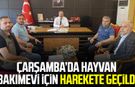 Çarşamba’da hayvan bakımevi için harekete geçildi