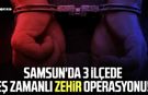Samsun'da 3 ilçede eş zamanlı zehir operasyonu!