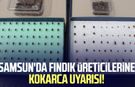 Samsun'da fındık üreticilerine kokarca uyarısı!