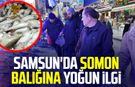 Samsun'da somon balığına yoğun ilgi