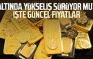 Altında yükseliş sürüyor mu? İşte güncel fiyatlar