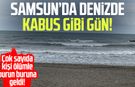 Samsun’da denizde kabus gibi gün: 7 kişi ölümle burun buruna geldi!