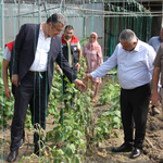 Çarşamba’da sağanak zararı üreticilere karşılanacak!