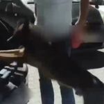 Samsun'a sevk edilecekti! 50 bin 792 adet sentetik ecza ele geçirildi
