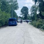 Samsun'da hayvanı kurtarmak isterken elektrik akımına kapıldılar