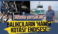 Balıkçıların 'hamsi kotası' endişesi: "Altınla yarışacak"